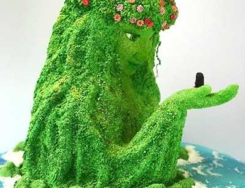 Moana Mayhem: When Our Disney Novelty Cake Went Viral